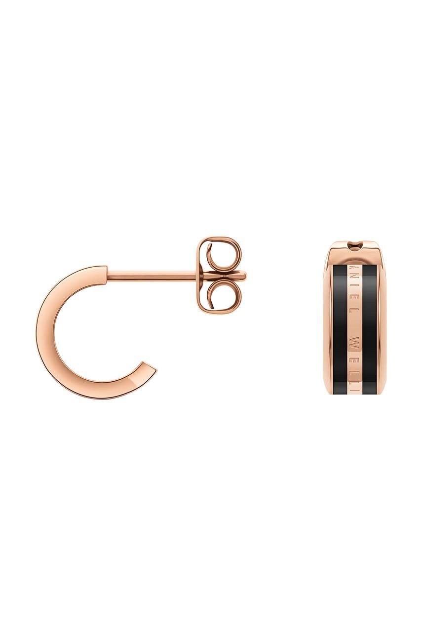 Сережки Daniel Wellington