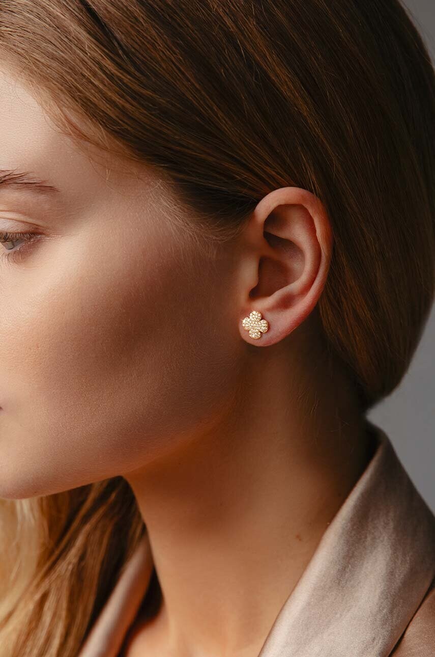 Позолочені сережки Lilou Microsetting