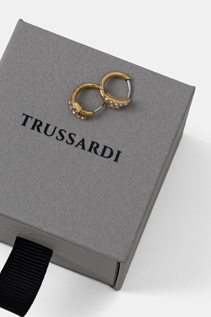 Сережки Trussardi TJAXC87
