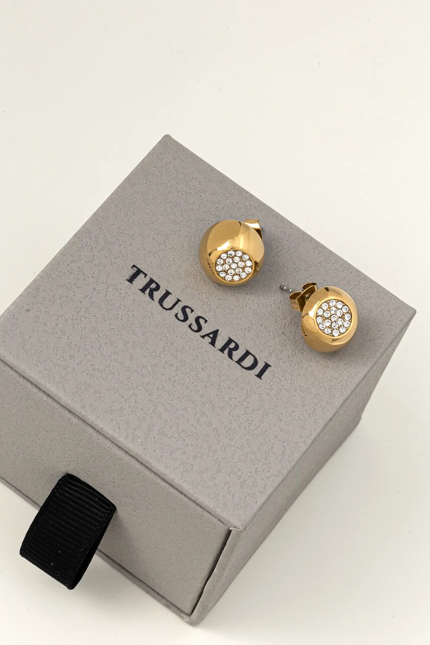 Сережки Trussardi TJAXC99