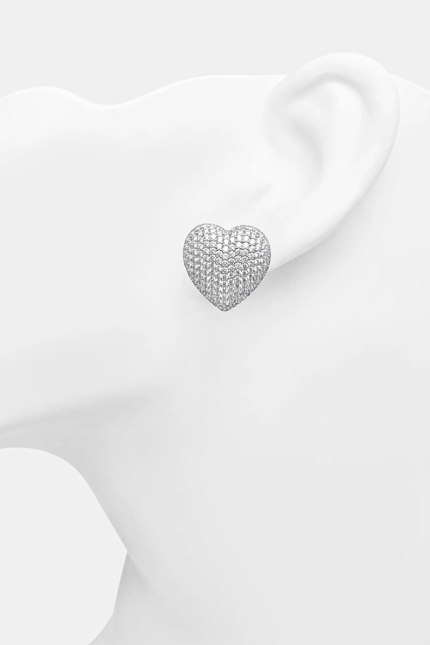 Срібні сережки Chiara Ferragni SILVER J19AXD30