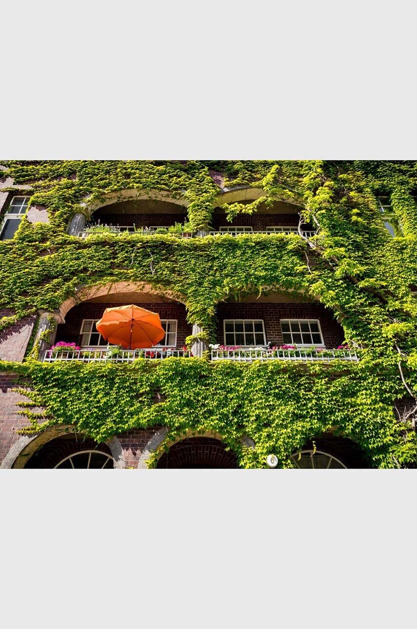 Книга QeeBoo Urban Oasis : Parks and Green Projects around the World, Jessica Jungbauer, English