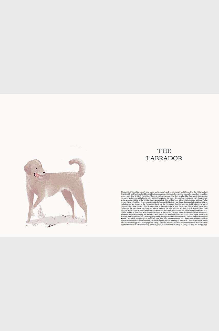 Книга DOG - Stories of Dog Ownership by Julian Victoria, English