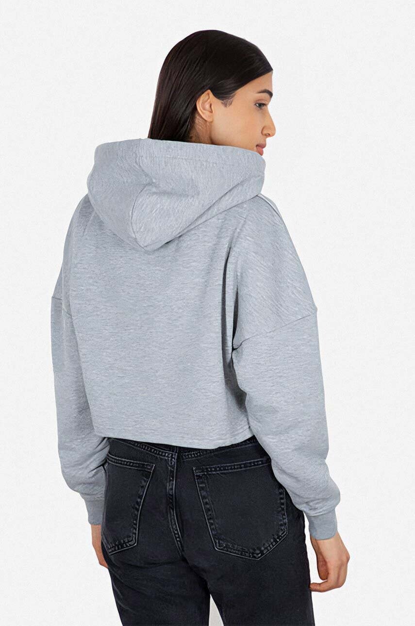 Кофта Alpha Industries Sweats & Hoodys жіноча колір сірий з капюшоном з принтом 116057.230-grey