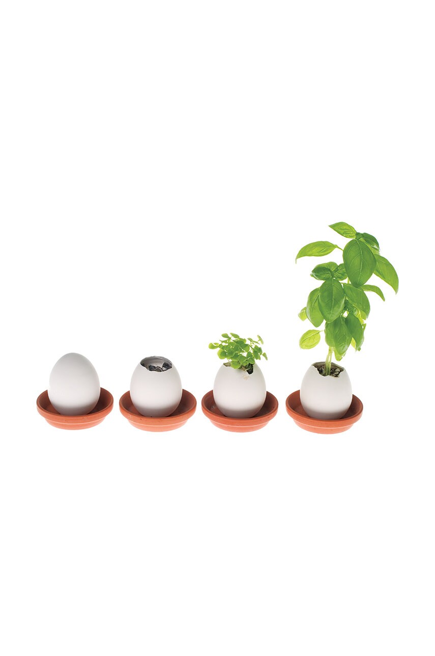 Noted набір для вирощування рослин Eggling Herb Basil
