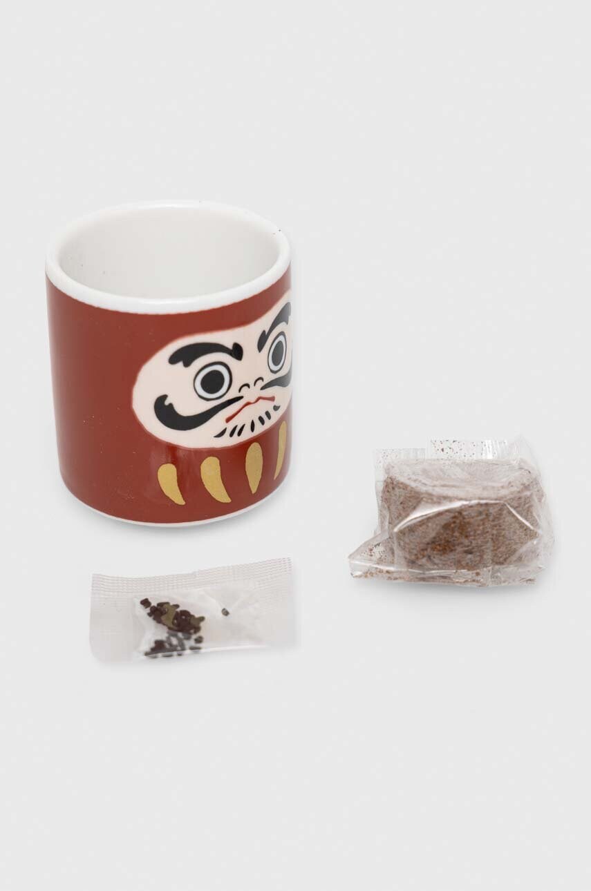 Набір для вирощування рослин Noted Lucky Plant - Daruma Doll
