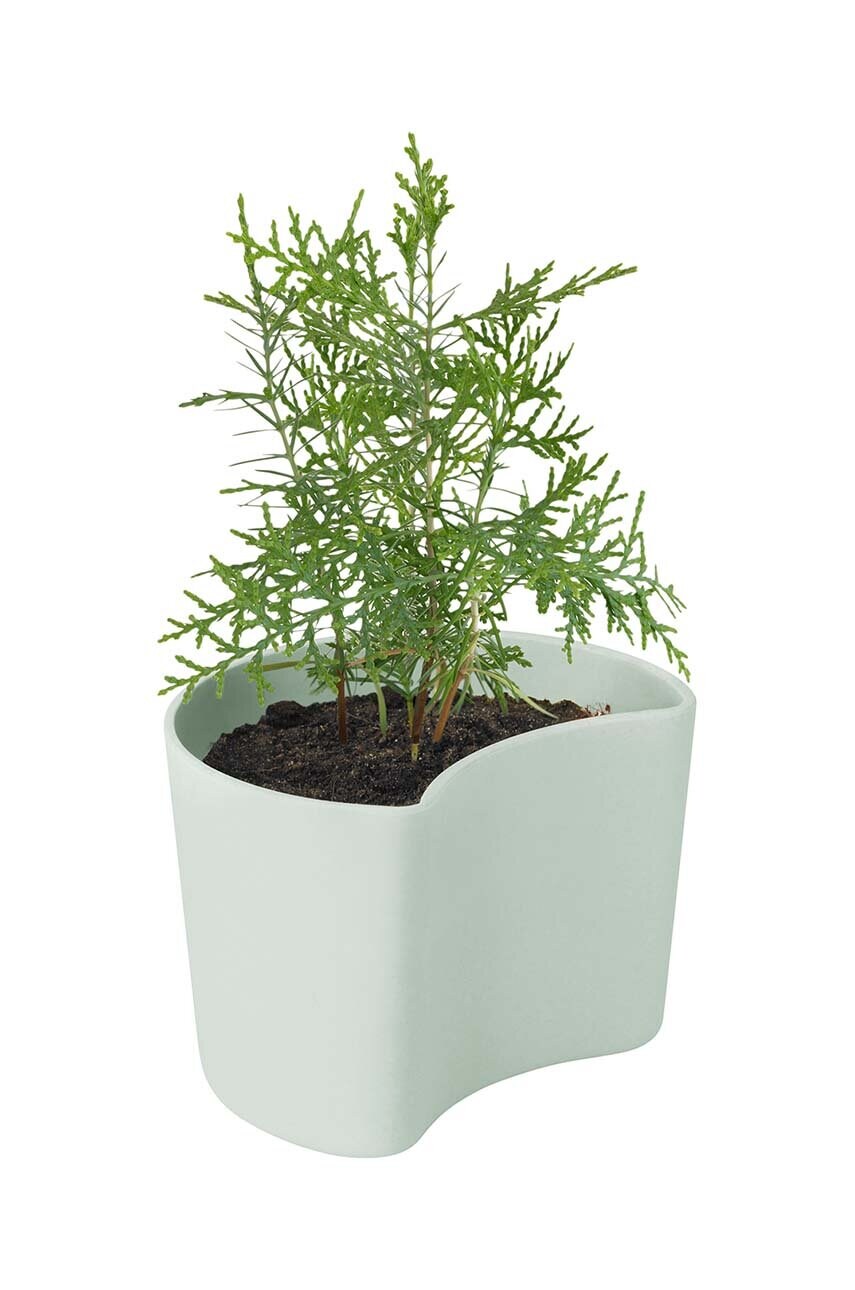 Горщик з насінням Rig-Tig Your Tree Birch