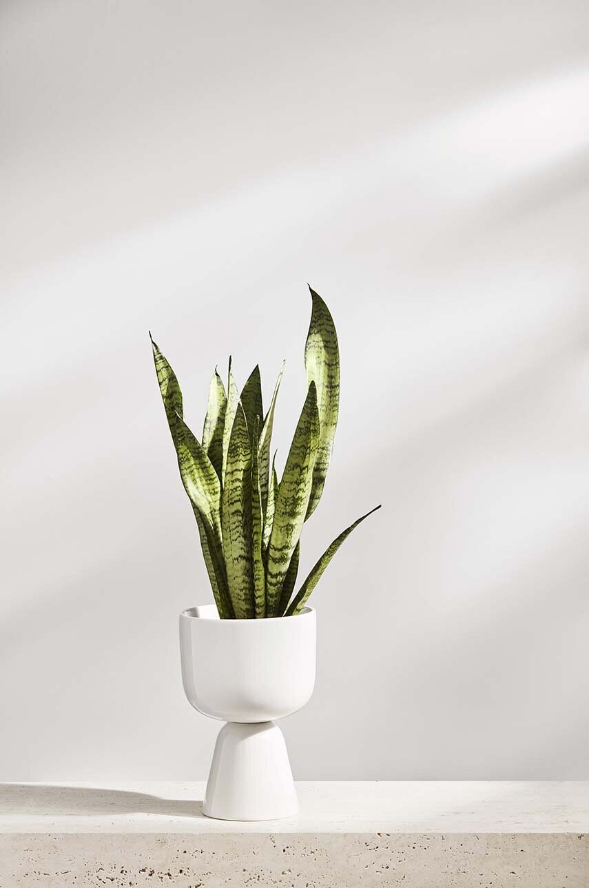 Горщик Iittala Nappula