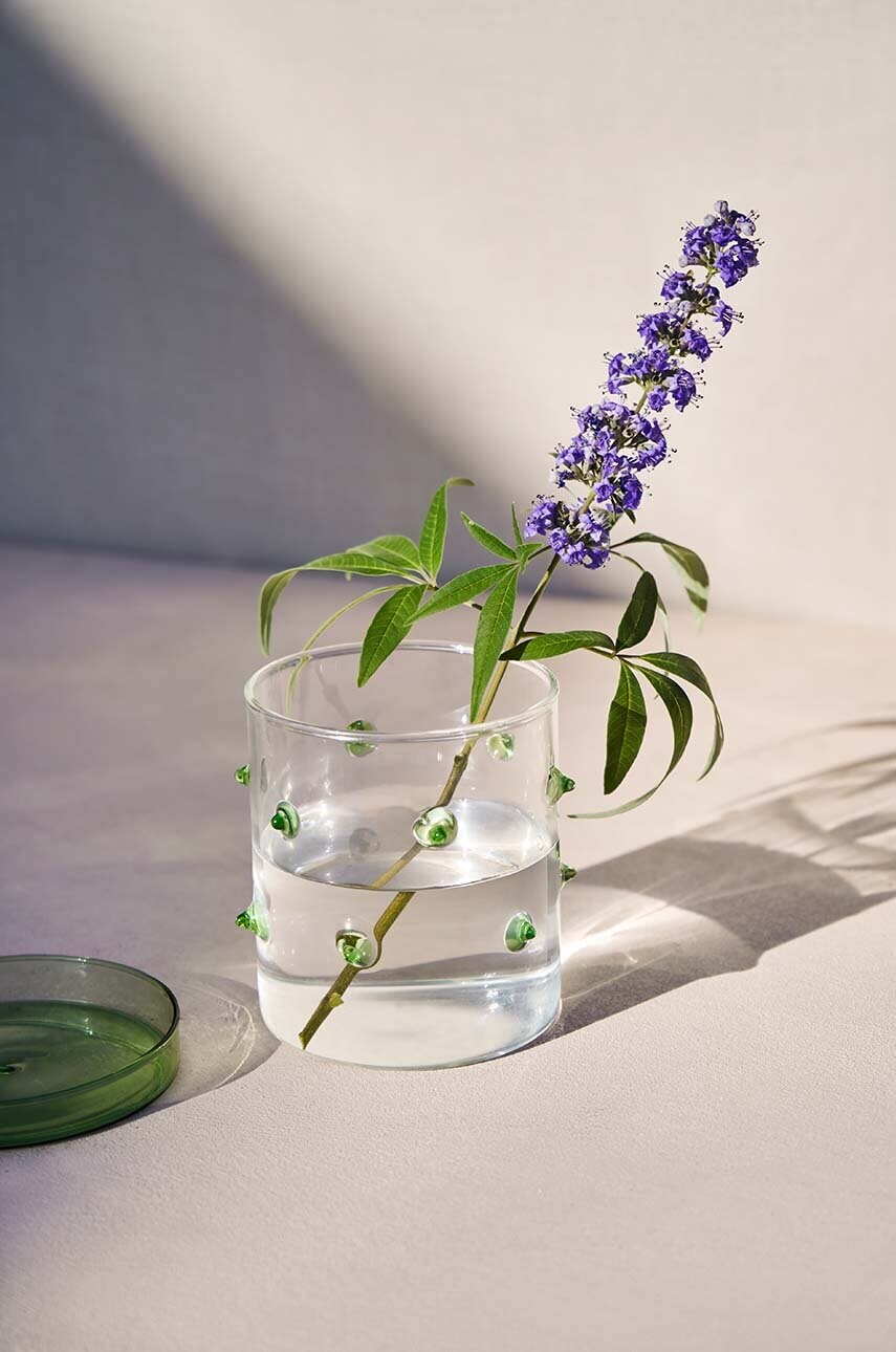 Контейнер з кришкою Octaevo Agave S