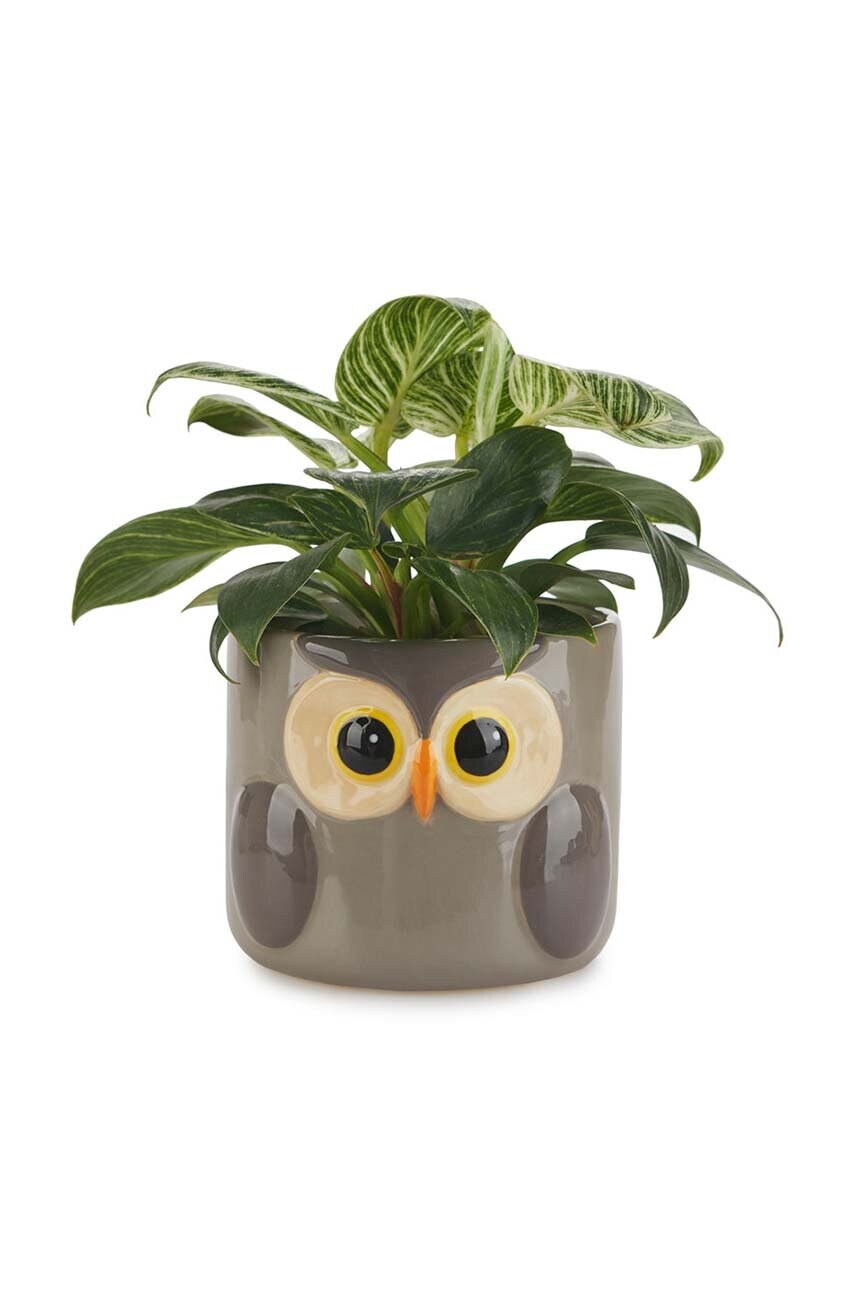 Підставка для квіткового горщика Balvi Owl