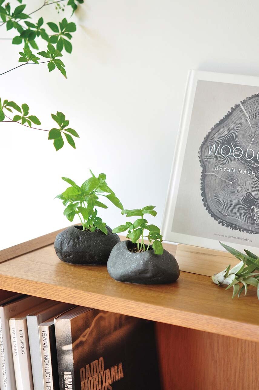 Набір для вирощування рослин Noted Plants Rock - Basil