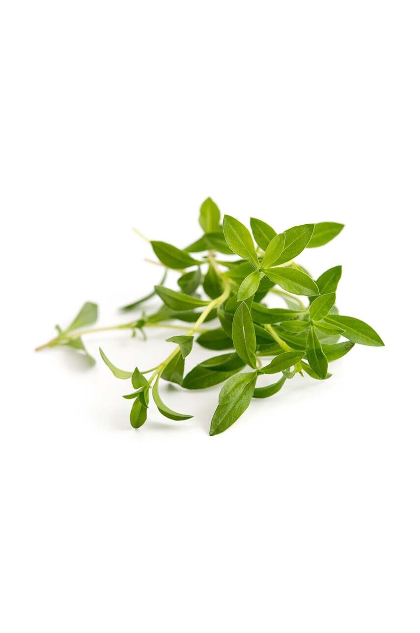 Вставка з насінням Veritable Savory