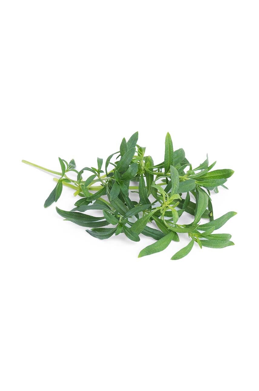 Вставка з насінням Veritable Mountain Savory