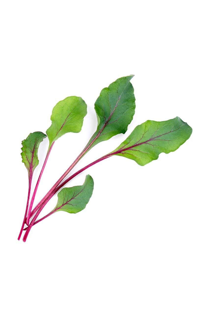 Вставка з насінням Veritable Beet Greens