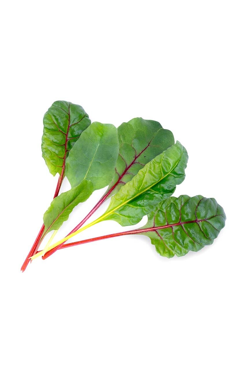 Вставка з насінням Veritable Swiss Chard