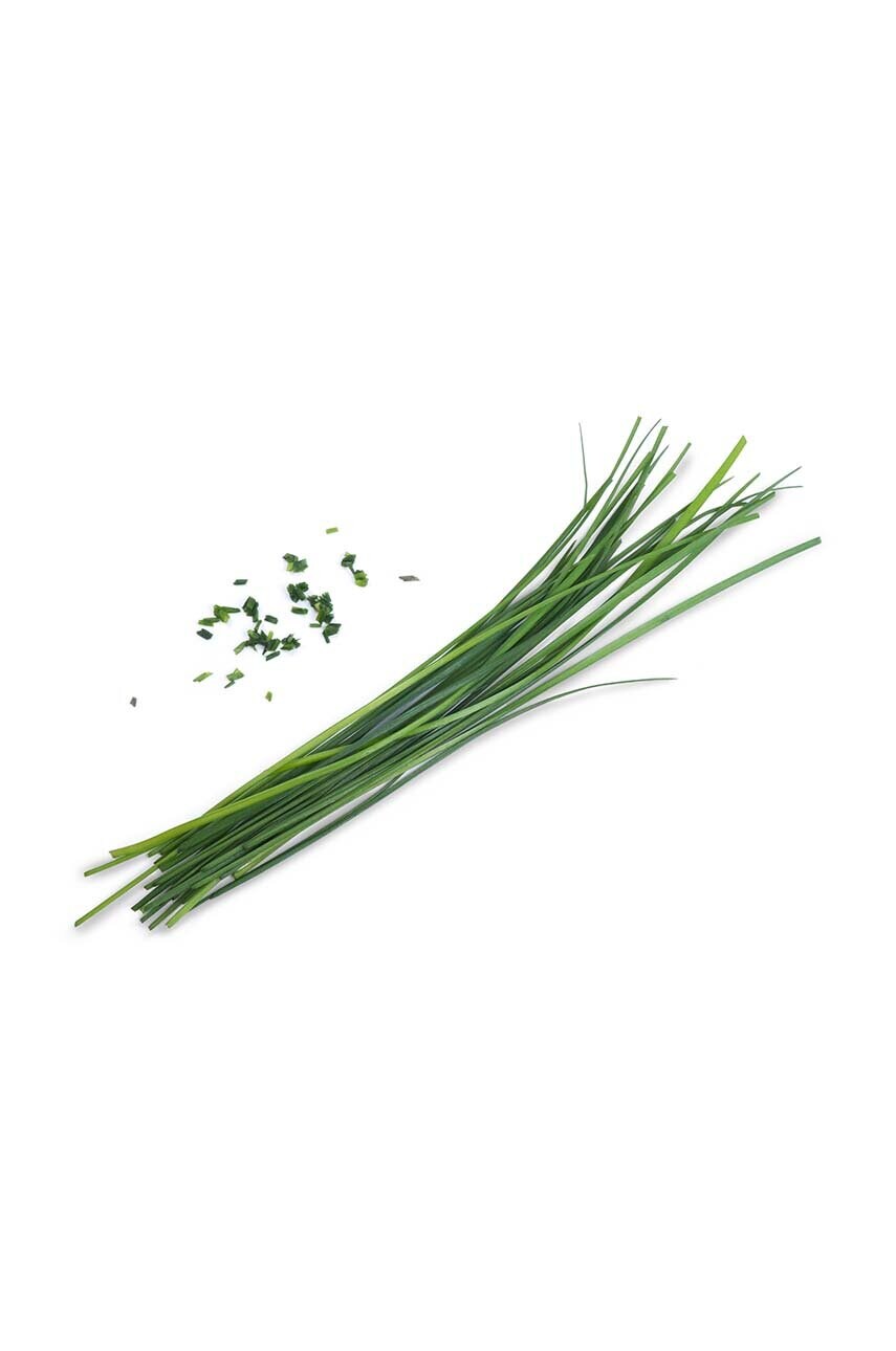 Вставка з насінням Veritable Chinese Chives