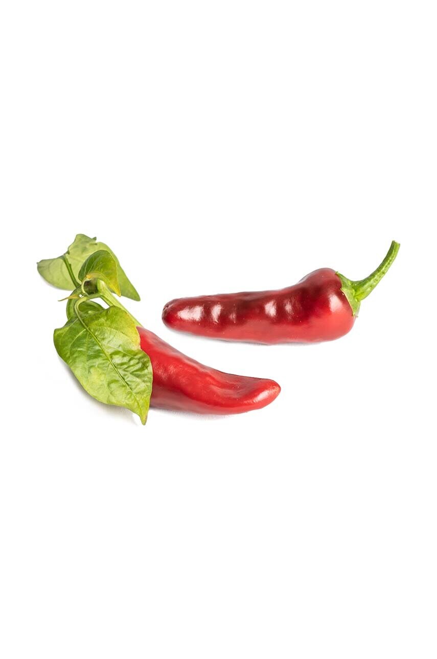 Вставка з насінням Veritable Espelette Chili