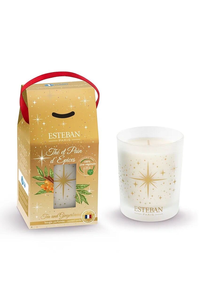 Ароматизована свічка Esteban Tea and Gingerbread 180 g