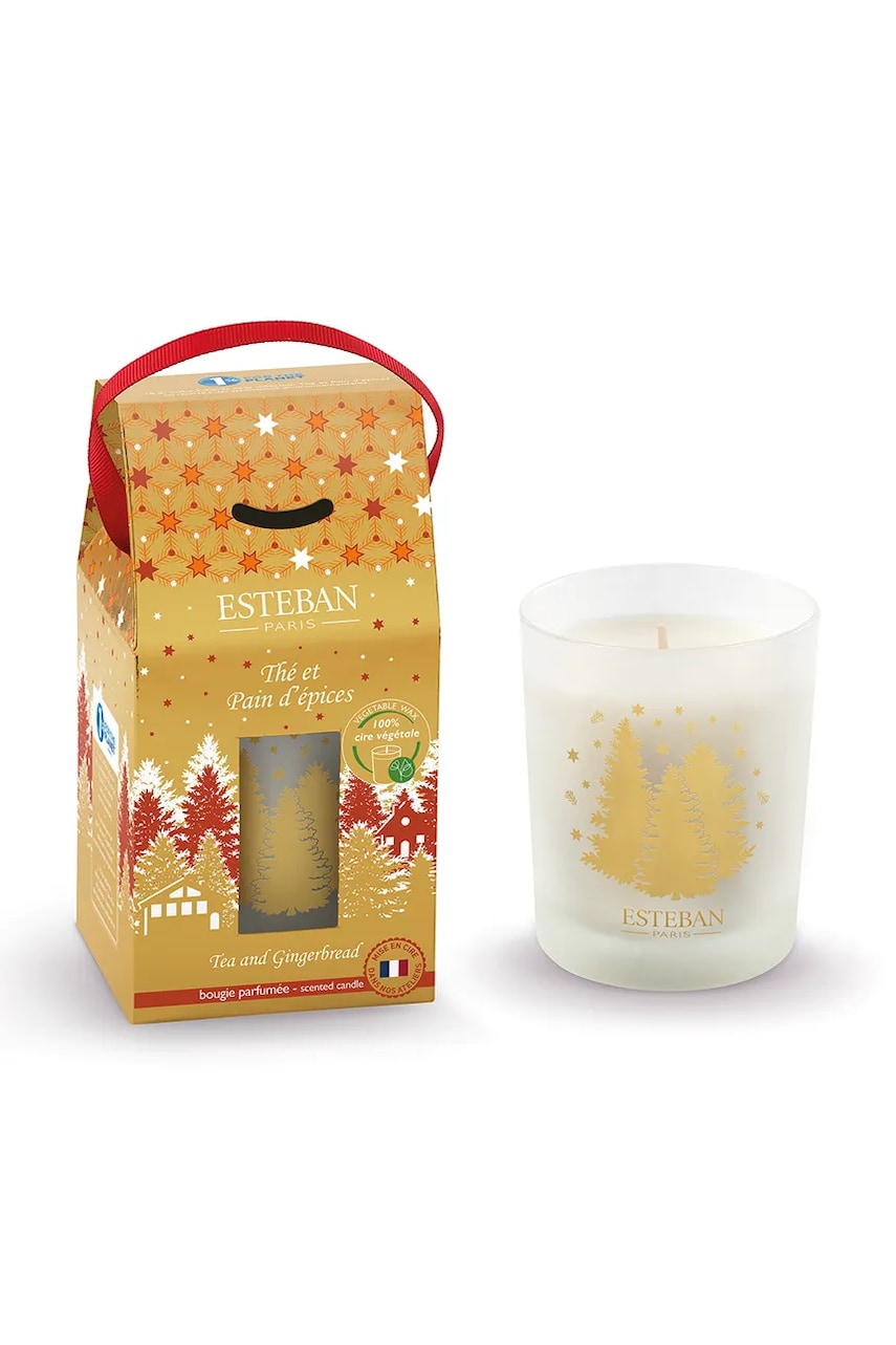 Ароматизована свічка Esteban Tea and Gingerbread 180 g