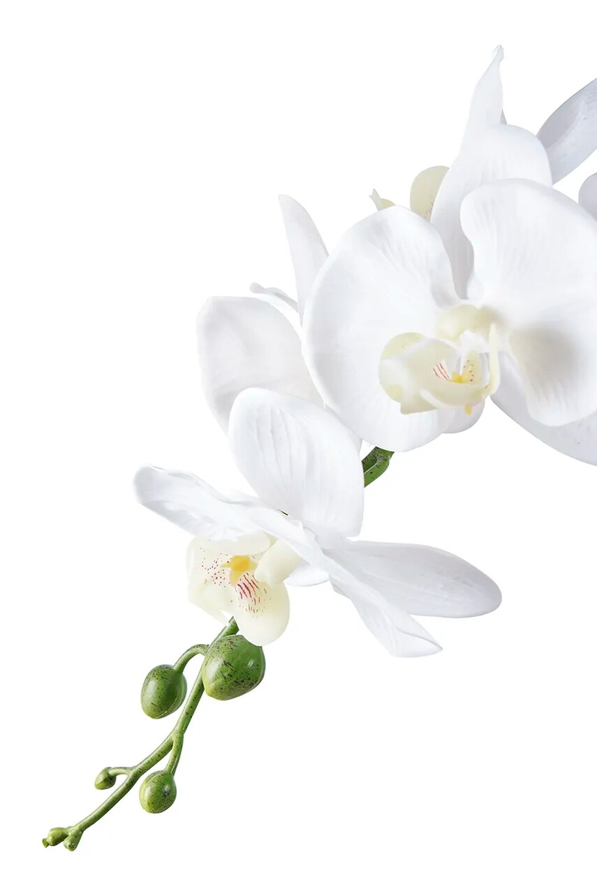 Штучна рослина в горщику House Nordic Orchid колір зелений