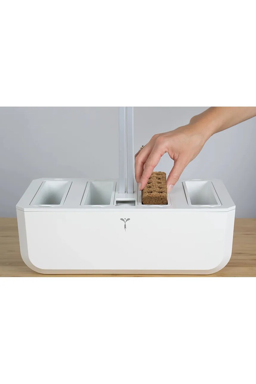 Кошик для насіннєвої вставки Veritable Lingot® Basket колір білий