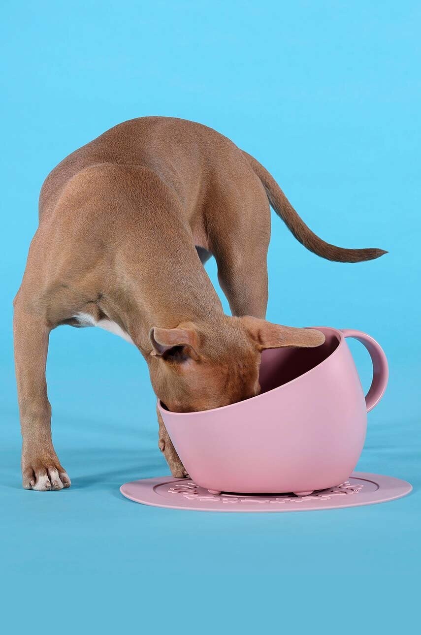 Миска для собаки United Pets Cup Dog