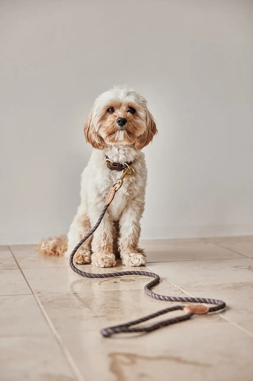 Поводок для собаки OYOY Perry Dog Leash