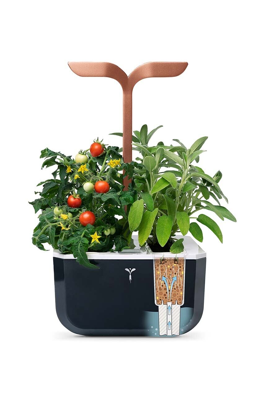 Автономний домашній сад Veritable Exky Smart