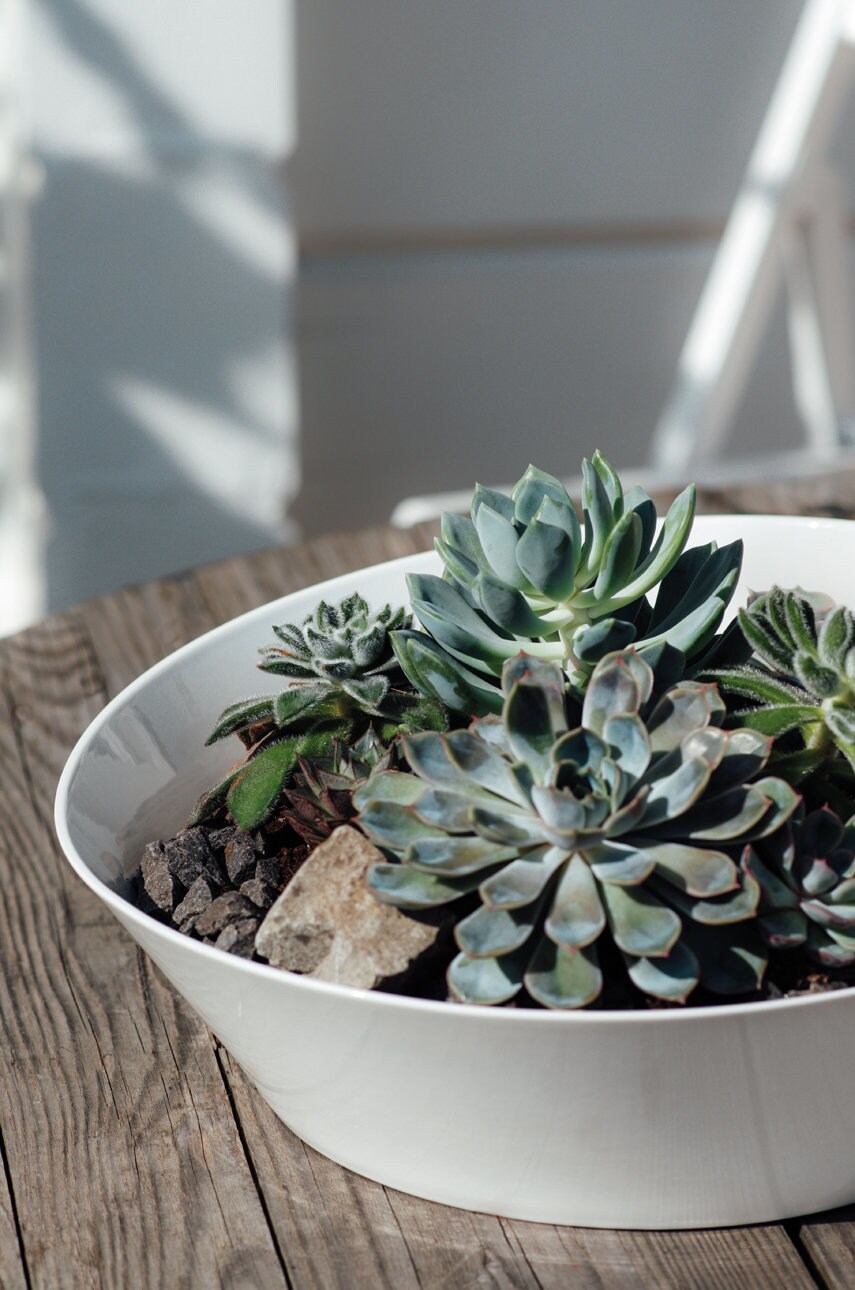 Villeroy & Boch супниця NewWave