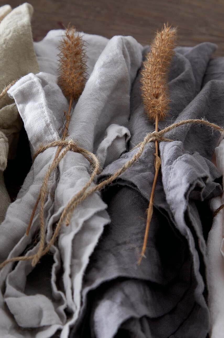 Набір серветок Costa Nova Linen 2-pack