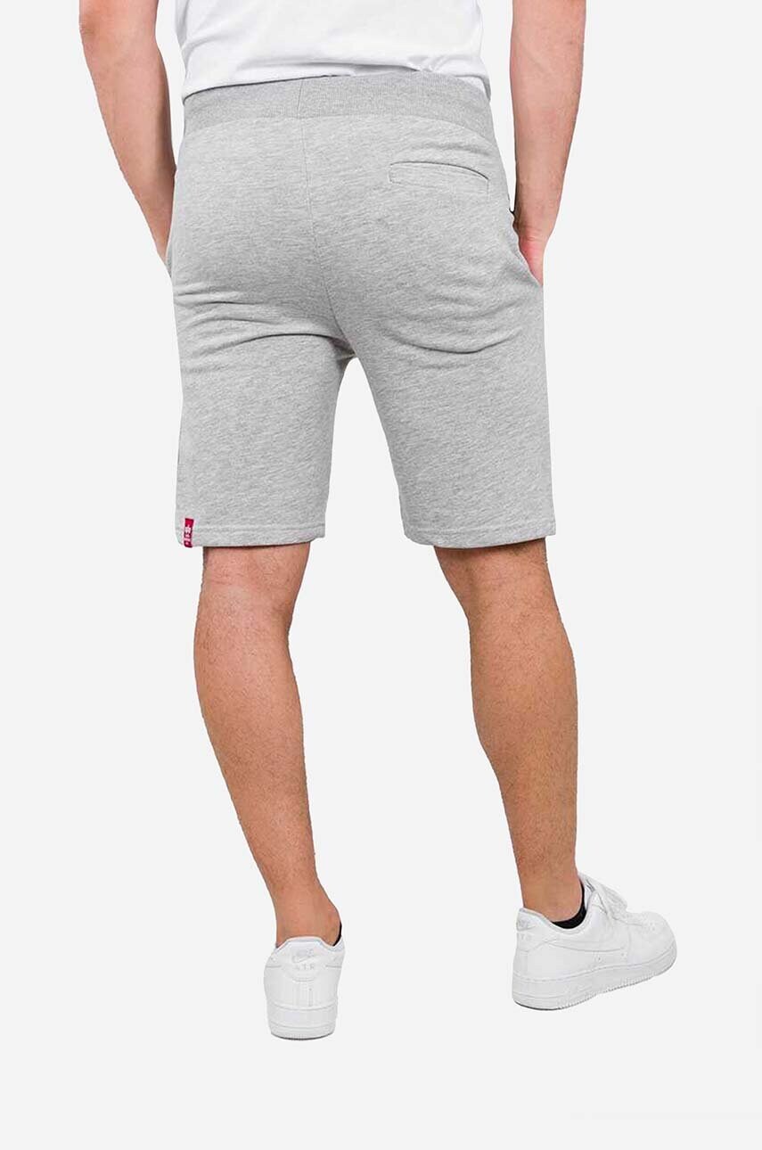 Шорти Alpha Industries Big Letters чоловічі колір сірий меланж 126344.17-grey