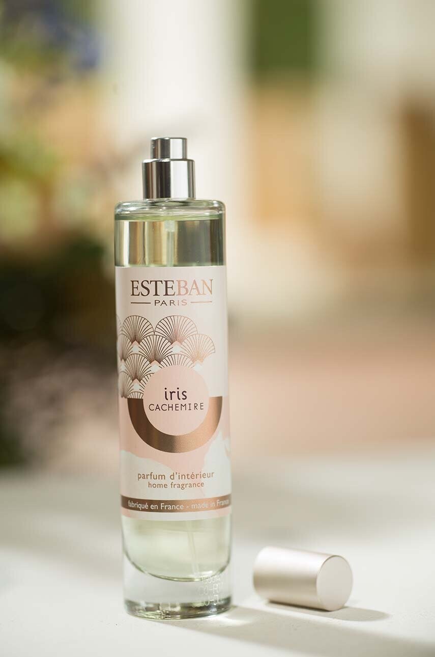 Ароматизатор для приміщень Esteban Iris&Cachemire 75 ml