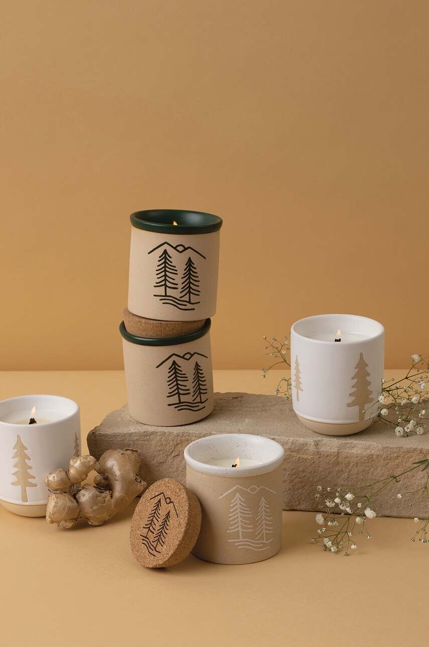 Ароматична соєва свічка Paddywax Cypress & Fir 226 g