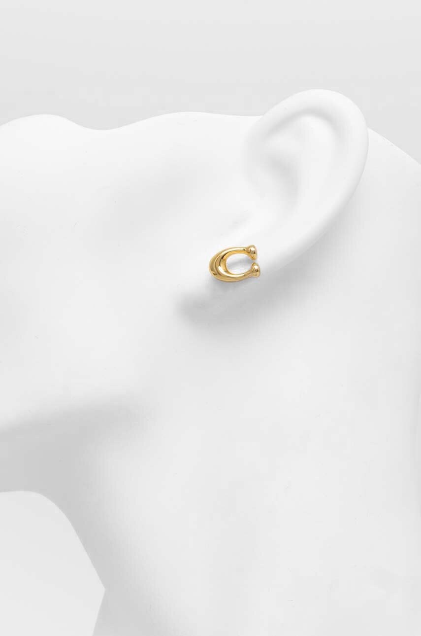 Сережки Coach