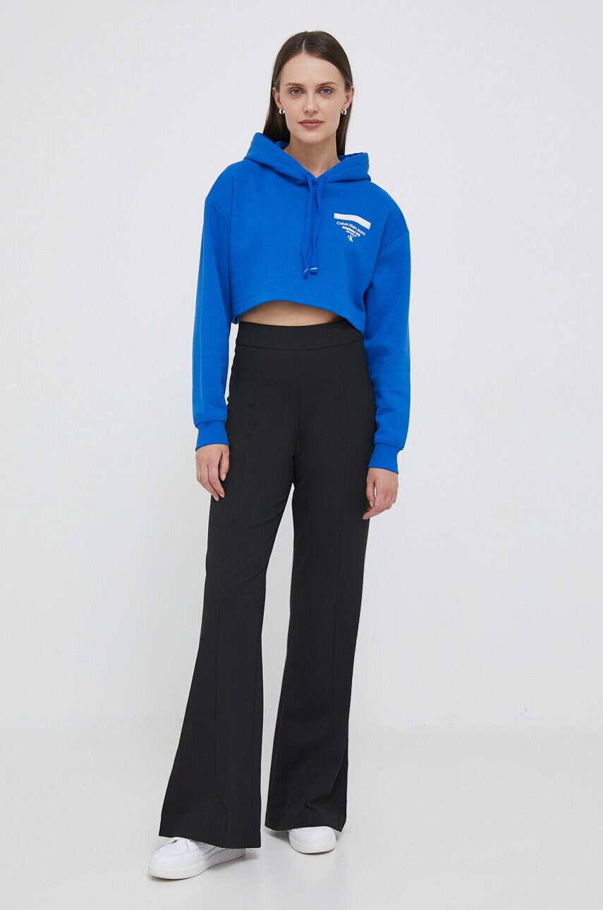 Кофта Calvin Klein Jeans жіноча з капюшоном з принтом