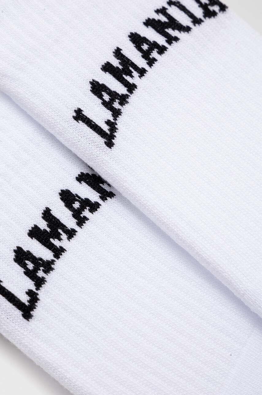 Шкарпетки La Mania жіночі колір білий