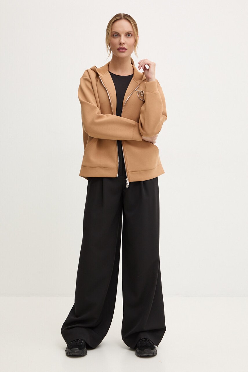 Кофта Pinko жіноча колір коричневий з капюшоном з аплікацією 104122 A24G