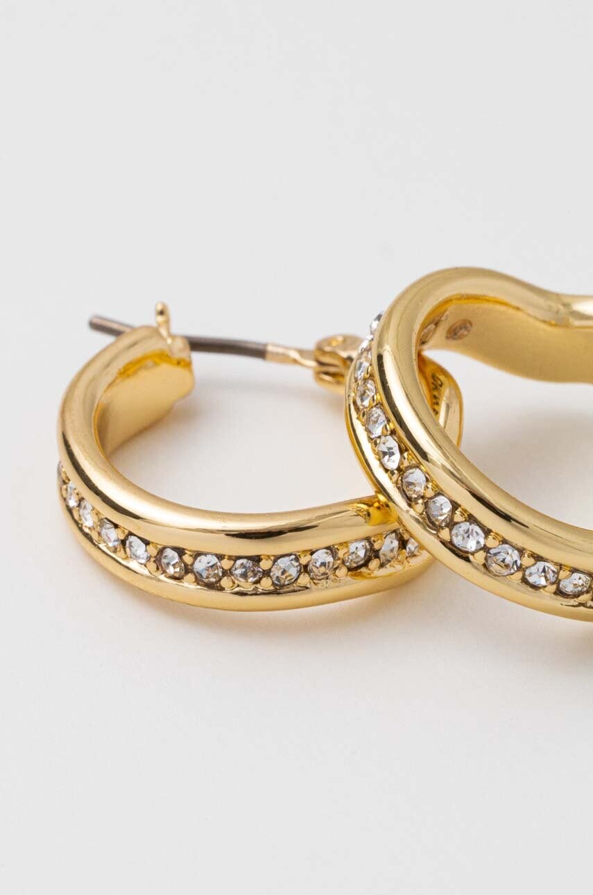 Сережки Dkny