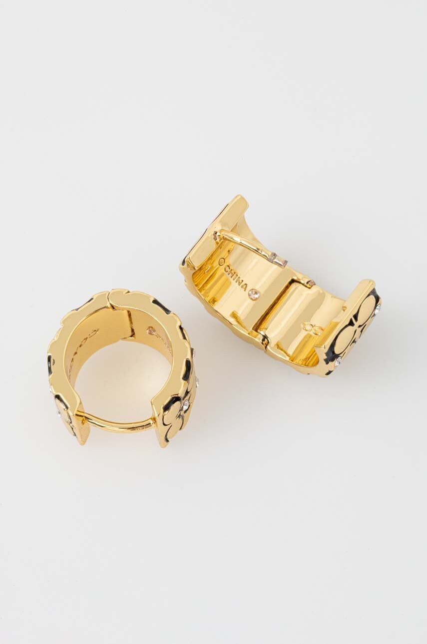 Сережки Coach