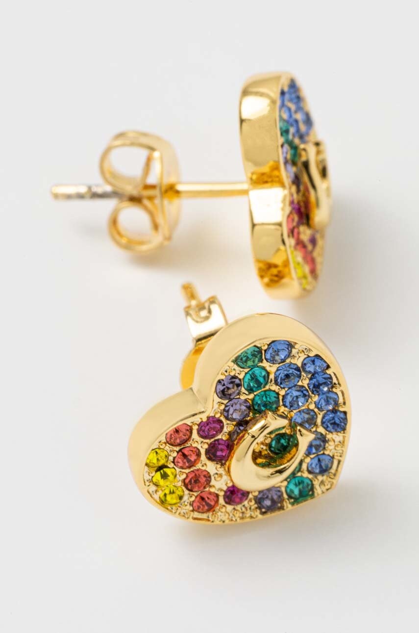 Сережки Coach