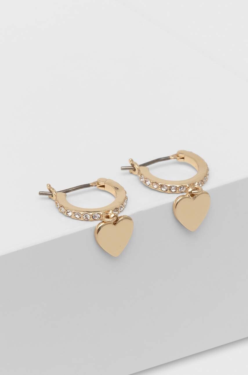 Сережки Dkny