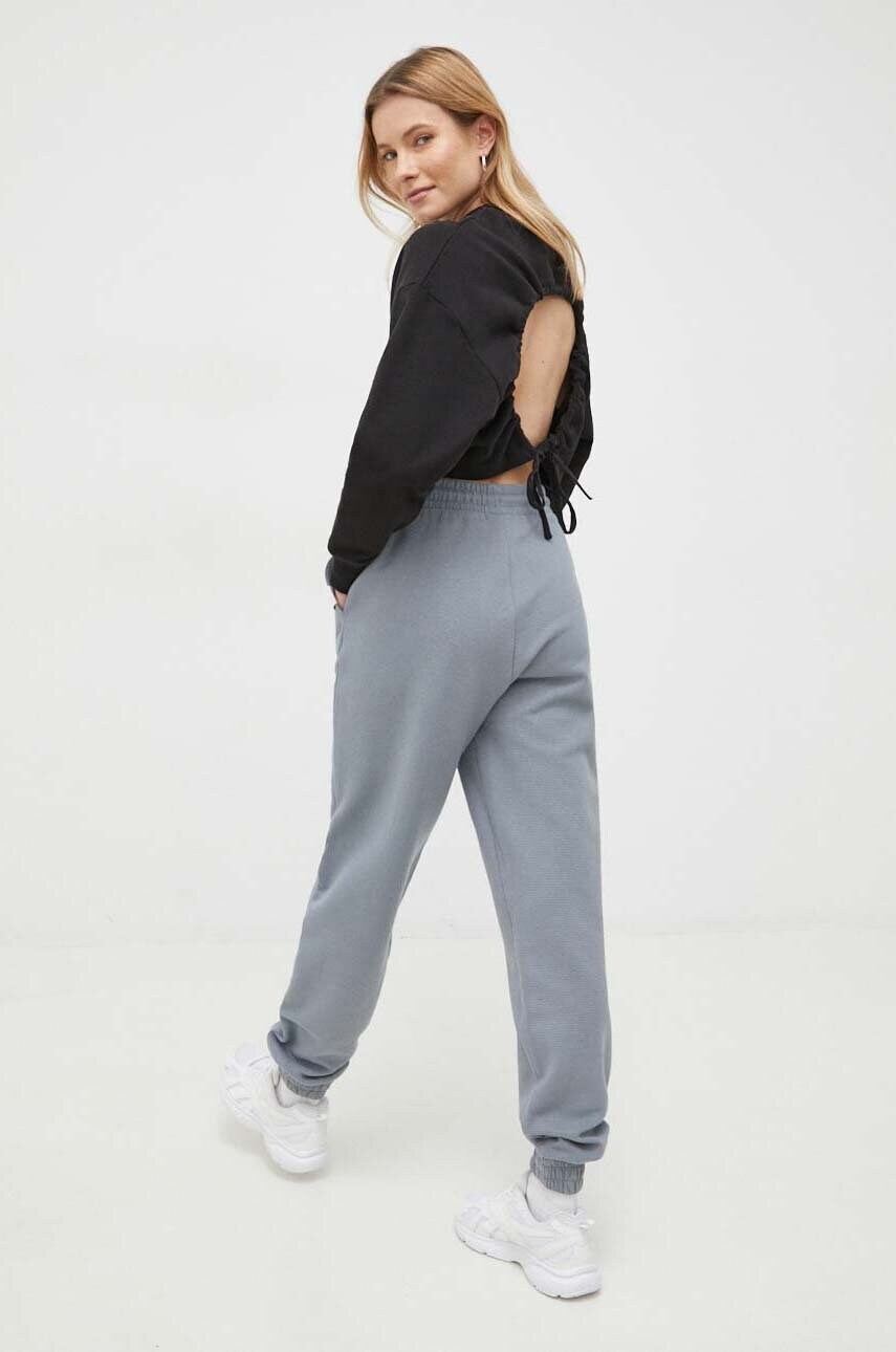 Бавовняна кофта Calvin Klein Jeans жіноча колір чорний однотонна