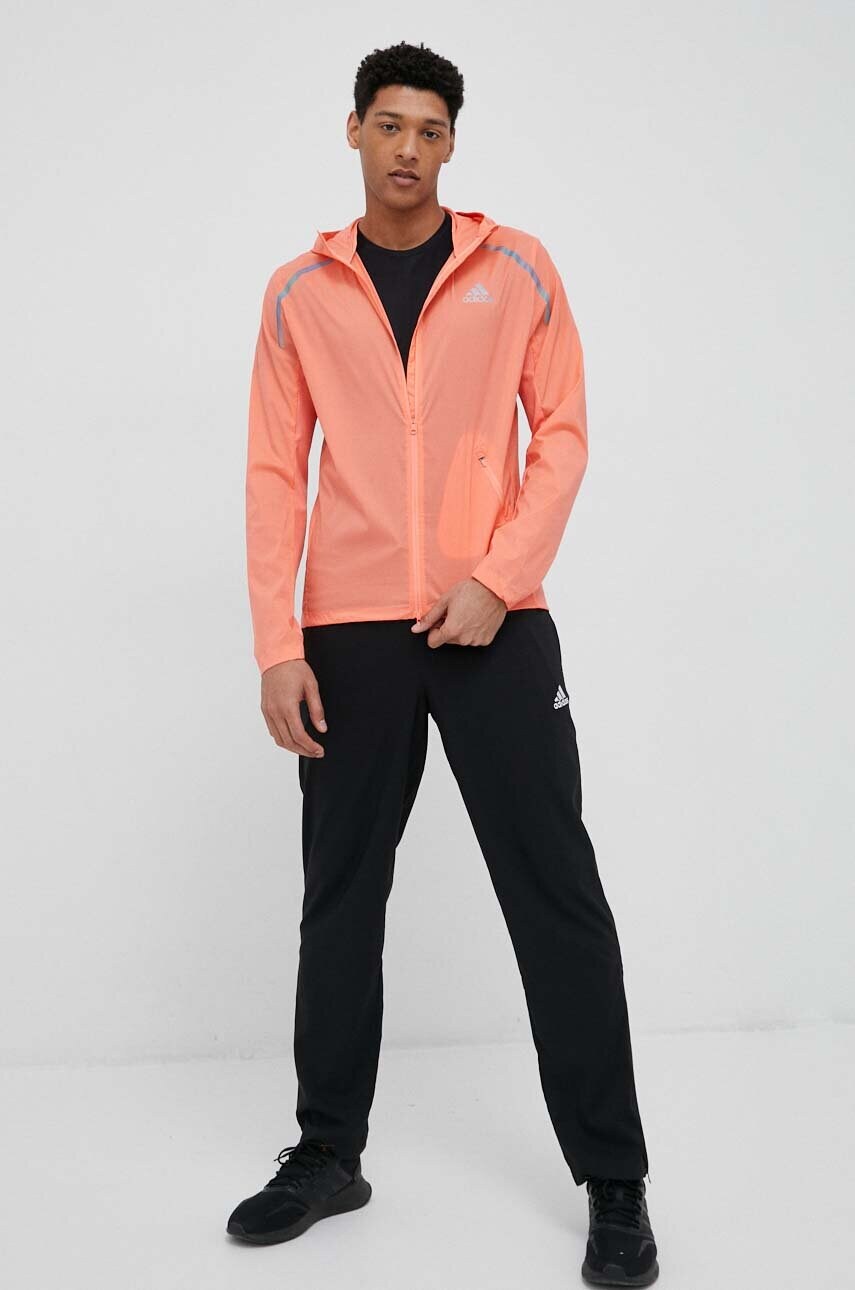 Штани для тренувань adidas Essentials Stanford колір чорний з аплікацією