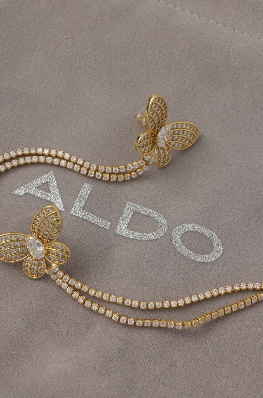 Сережки Aldo