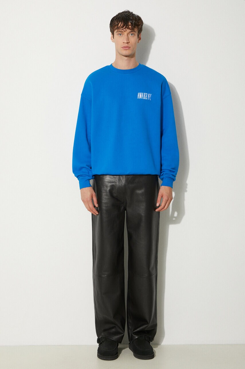 Бавовняна кофта Awake NY Awake Crewneck чоловіча  з аплікацією SP24-CN002