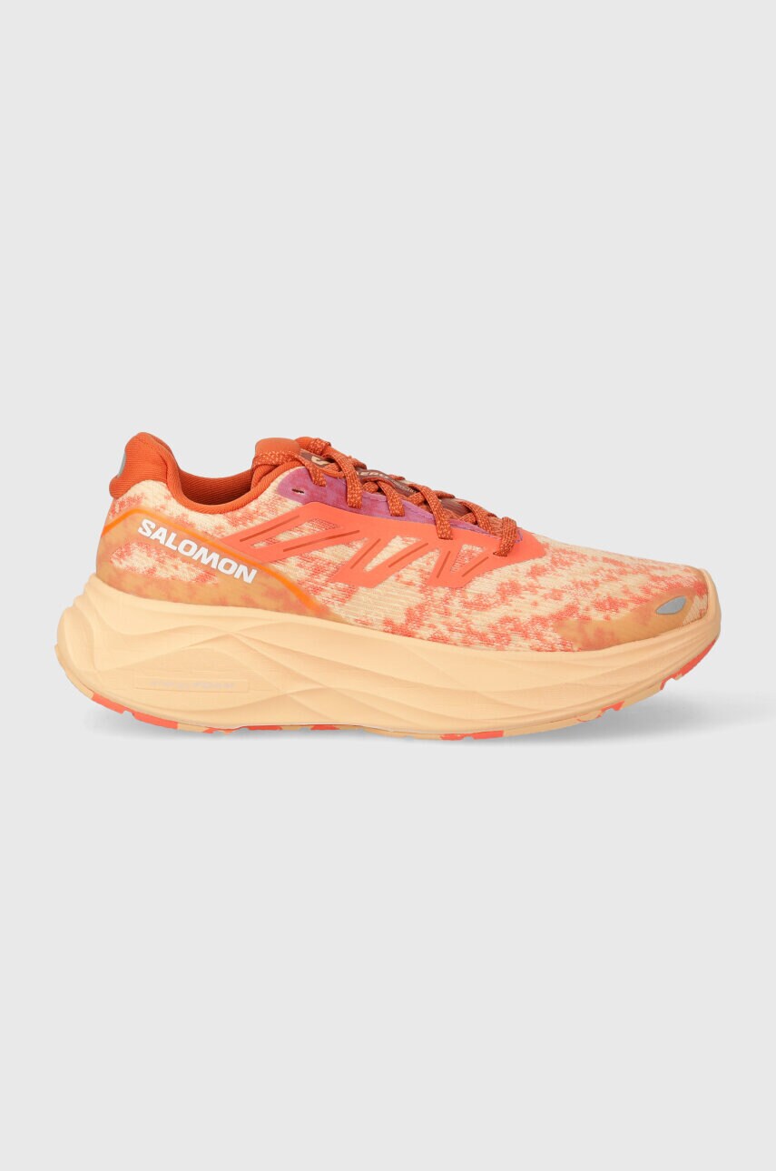 Черевики Salomon Aero Glide 2 жіночі