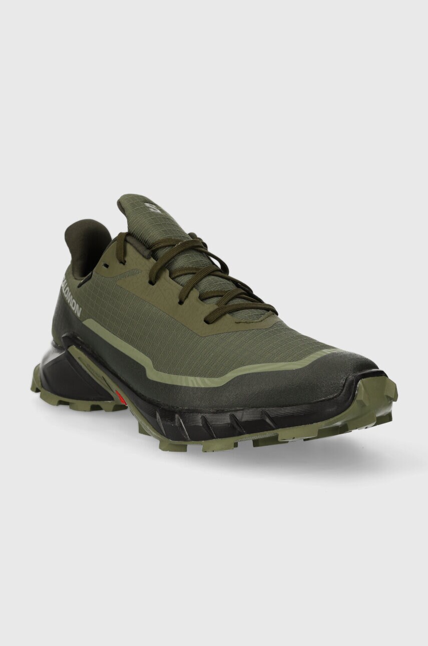 Черевики Salomon Alphacross 5 GTX чоловічі колір зелений