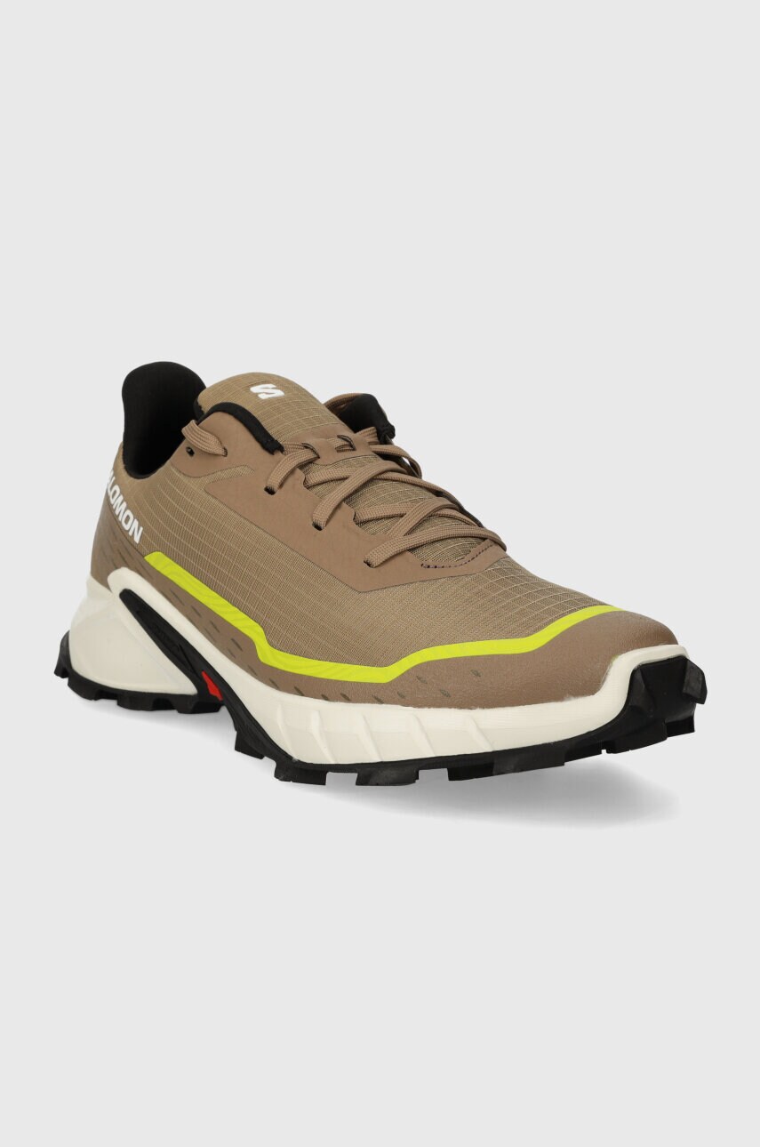Черевики Salomon Alphacross 5 чоловічі колір коричневий