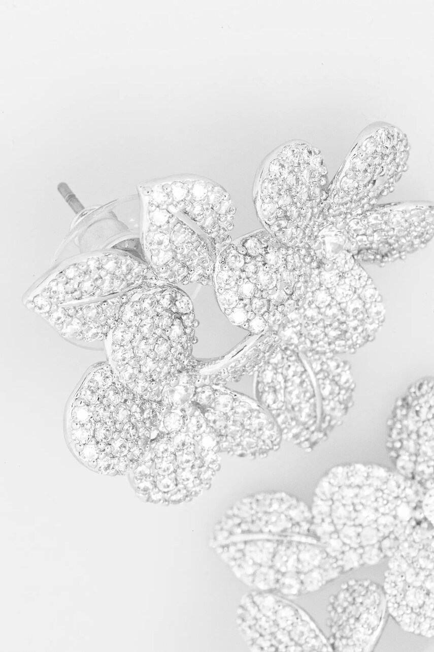 Сережки Aldo LAFLORA 13935461