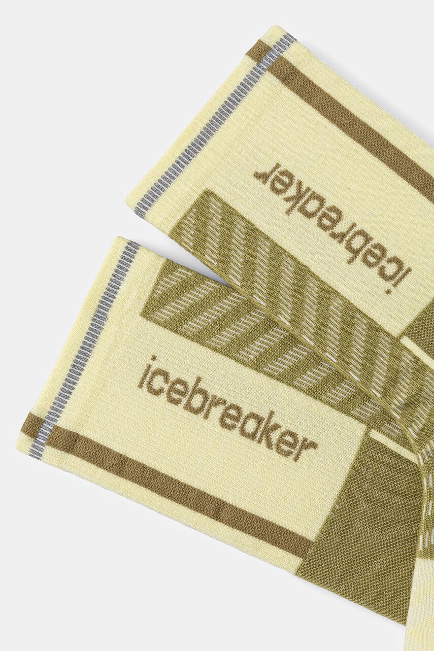 Шкарпетки Icebreaker Merino Blend Run+ Ultralight IB0A56VM0DA1